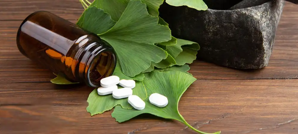 Ginkgo Biloba Leaf Extract Ginkgo Biloba Leaf Extract