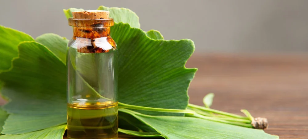 Ginkgo Biloba Leaf Extract