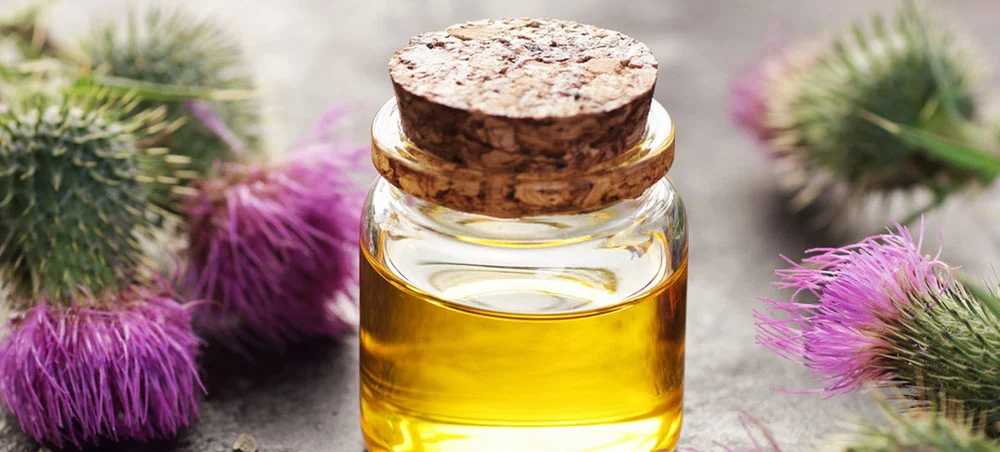 Milk Thistle Extract