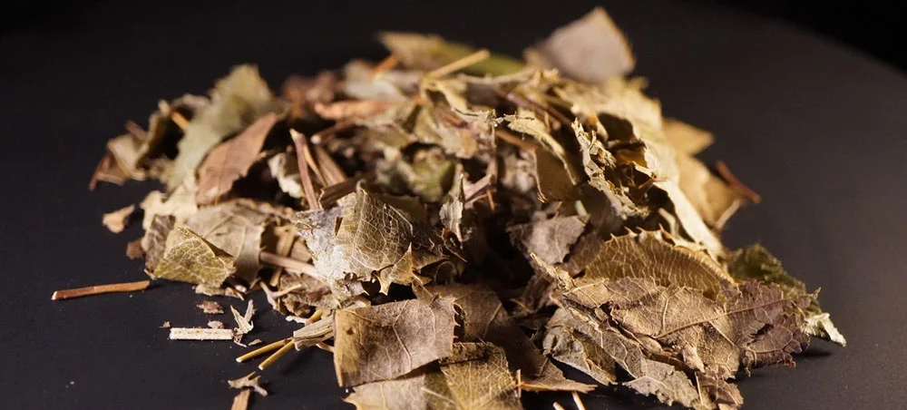 Epimedium Extract Powder