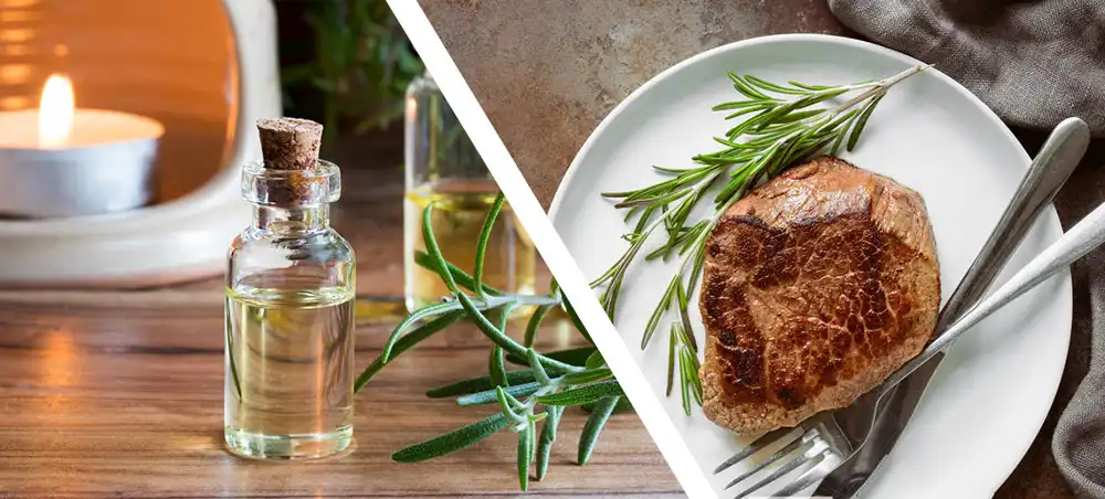 rosemary extract rosemary extract