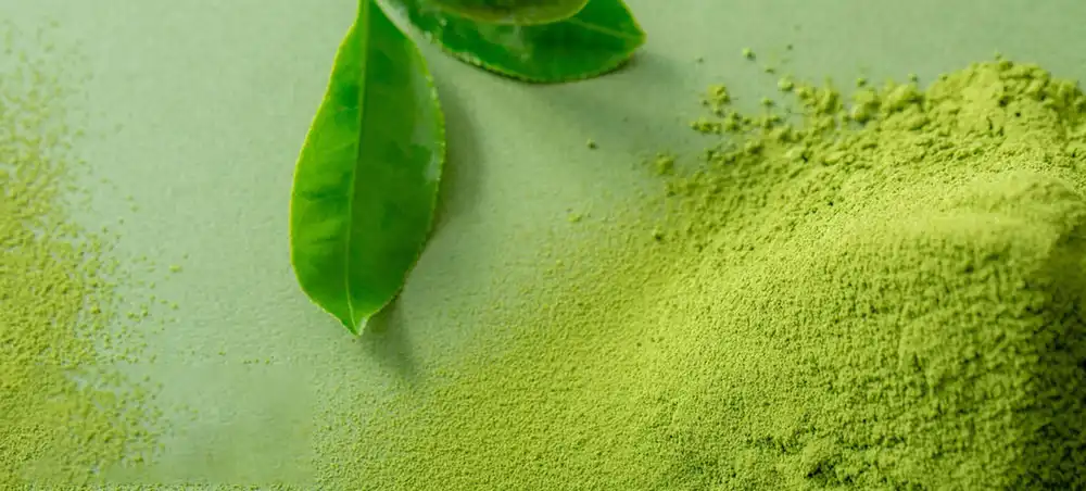Matcha Tea Powder