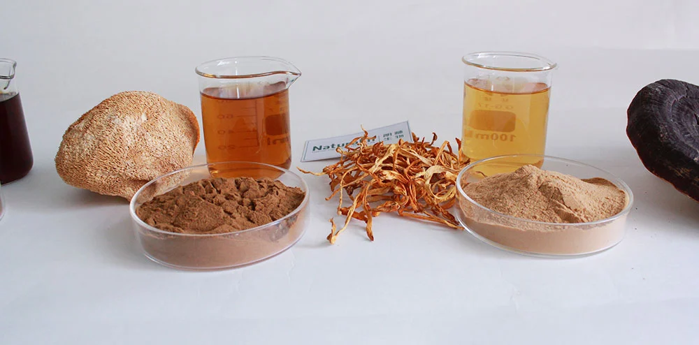 button mushroom powder button mushroom powder