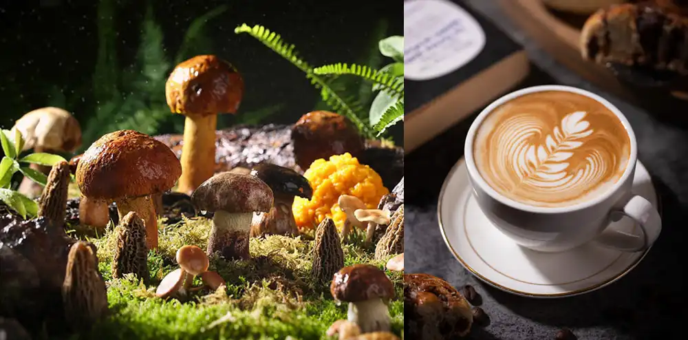 Button Mushroom Powder Button Mushroom Powder