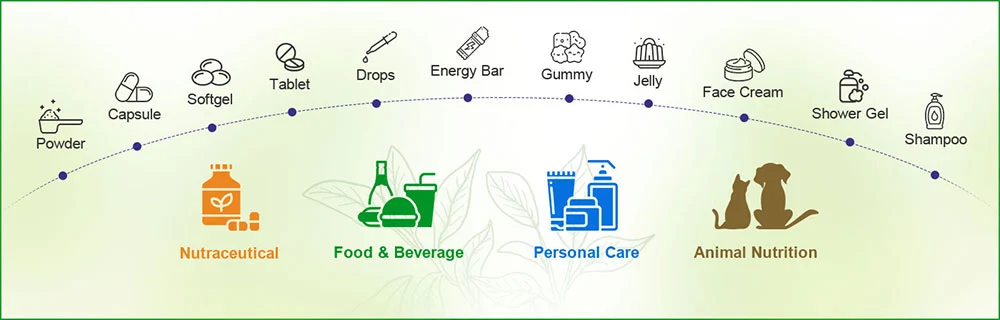 American Ginseng Extract Powder American Ginseng Extract Powder