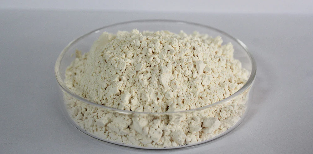 Garlic Extract Powder Garlic Extract Powder