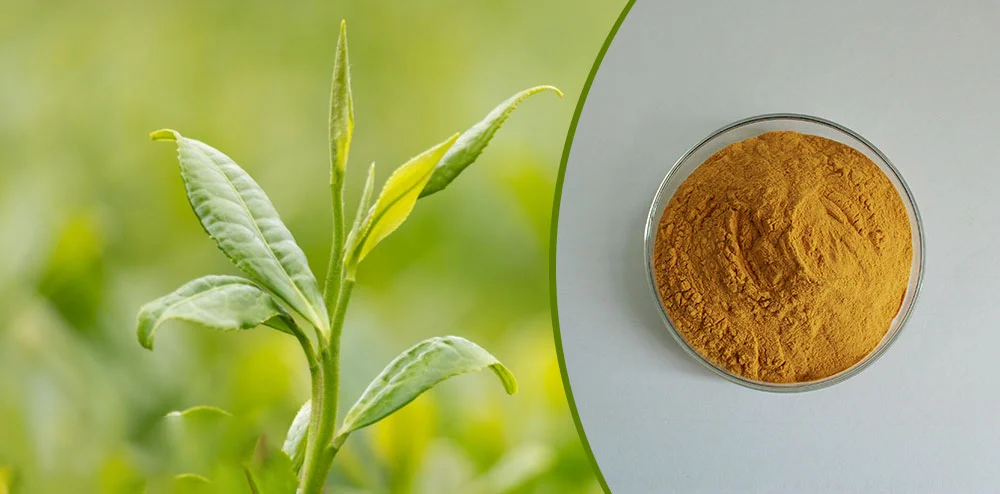 organic green tea powder