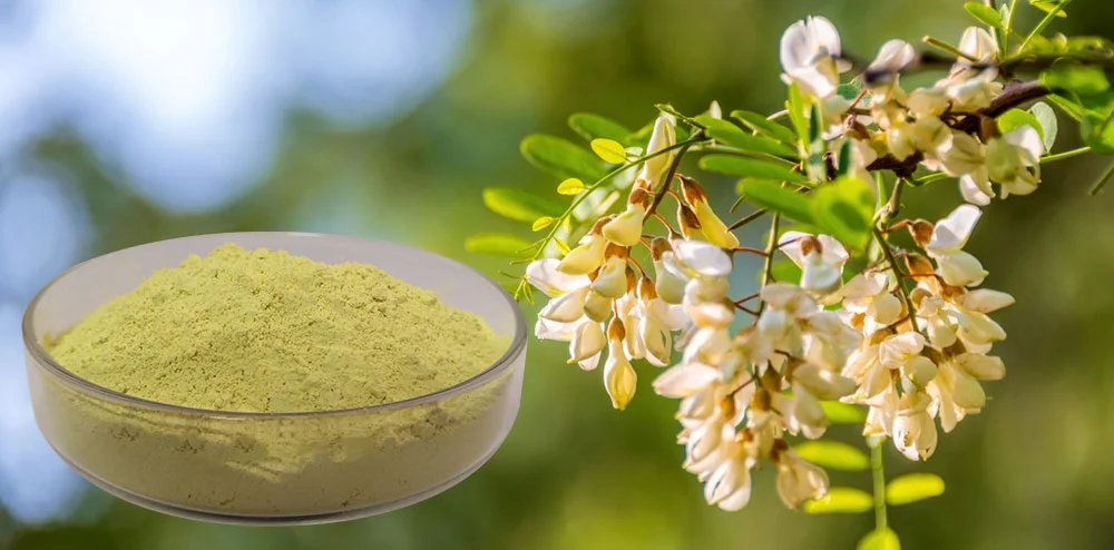 Sophora Japonica Extract Powder Sophora Japonica Extract Powder