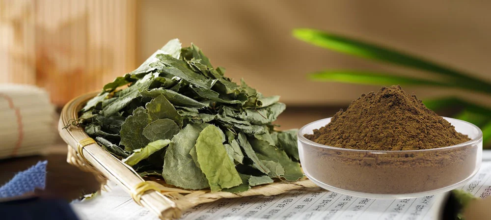 Epimedium extract powder