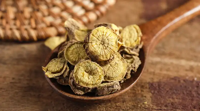 Baical Skullcap Extract for Natural Ingredient Supply and Product Innovation