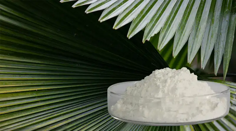 Saw Palmetto Extract Powder - natural wellness options