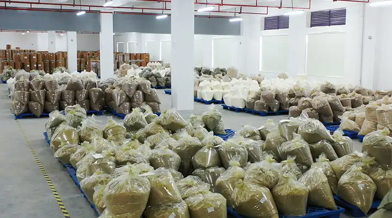 What Should Buyers Evaluate in Bulk Polyporus Umbellatus Mushroom Powder? What Should Buyers Evaluate in Bulk Polyporus Umbellatus Mushroom Powder?