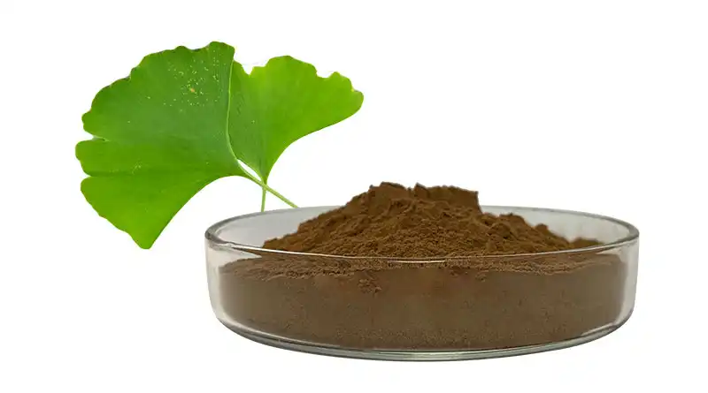 How Do Buyers Choose A Trusted Ginkgo Biloba Leaf Extract Powder Supplier?