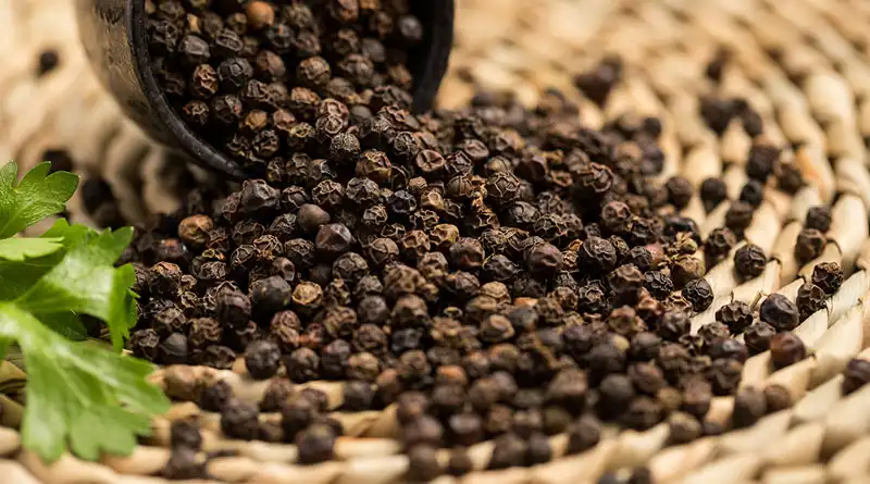 Black Pepper Extract Powder: The Secret Weapon in Your Spice Rack (and Food Science Lab)