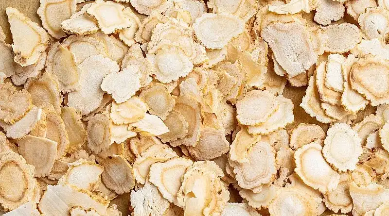 American Ginseng vs Garlic Extract benefits