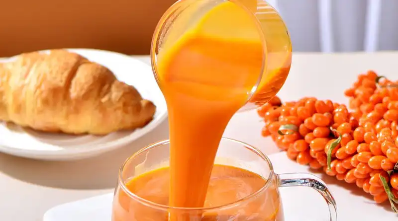 Bulk Sea Buckthorn Powder for Functional Drinks, Dairy Products, Snacks, and Bakery Manufacturing Bulk Sea Buckthorn Powder for Functional Drinks, Dairy Products, Snacks, and Bakery Manufacturing