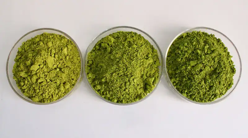 The Ultimate Guide To Matcha Powder: Benefits & Facts