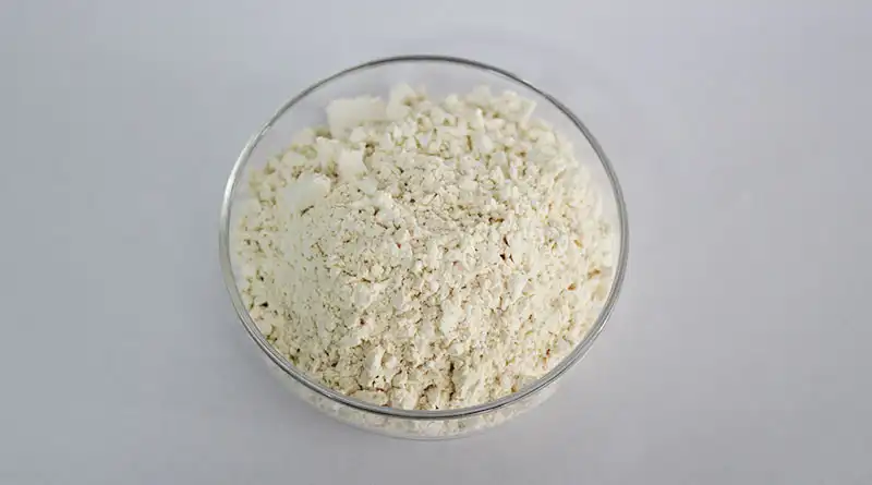 The Many Health Benefits of Garlic Extract Powder
