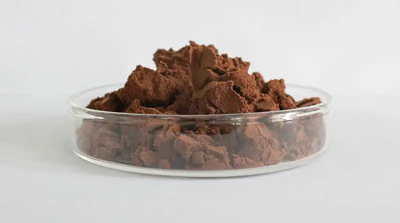 Can Button Mushroom Powder Enhance Flavor in Plant-Based and Ready-to-Eat Foods? Can Button Mushroom Powder Enhance Flavor in Plant-Based and Ready-to-Eat Foods?