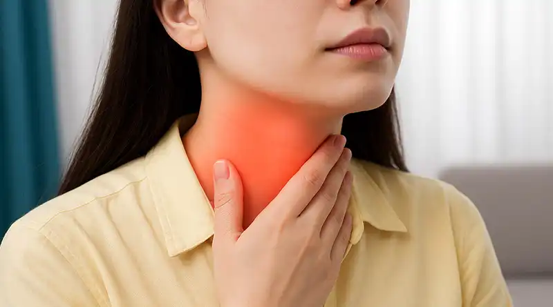 What is Ivy Leaf Extract Powder and why is it so important?