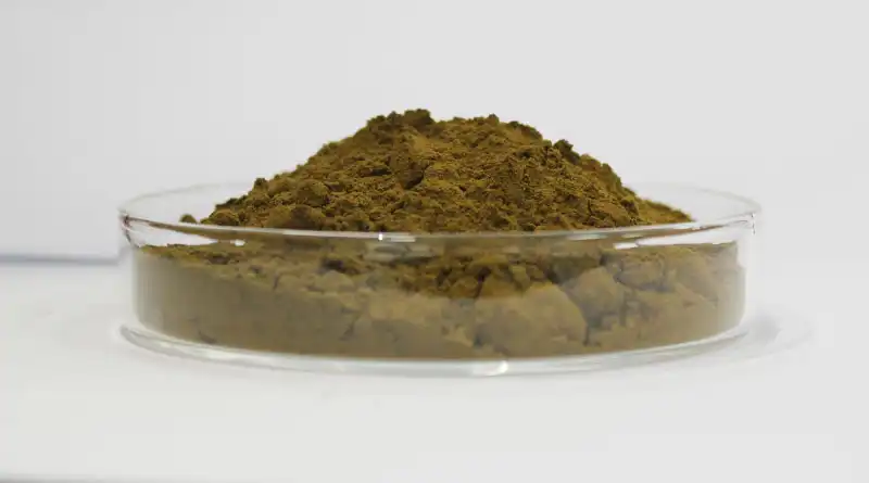 How to Use Echinacea Extract Powder Effectively?