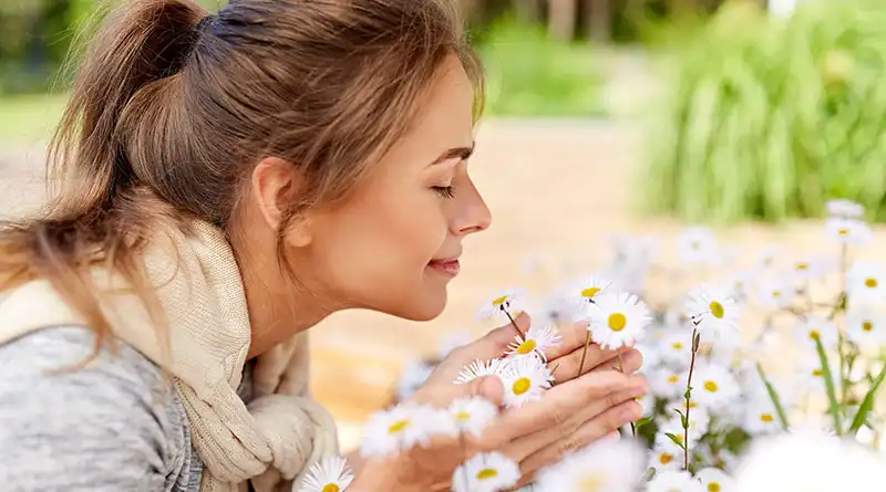 Chamomile Extract: Benefits, Uses, and Insights