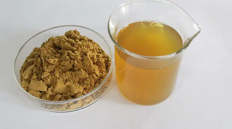Benefits of Ivy Leaf Extract Powder Benefits of Ivy Leaf Extract Powder