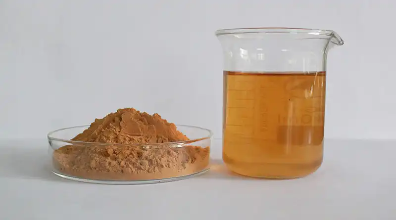 Cordyceps Mushroom Extract Powder Guide: Energy & Performance Boost