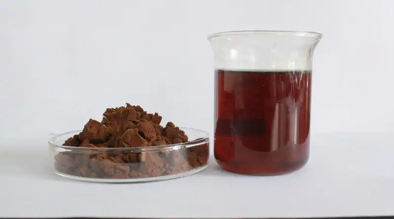 Organic Chaga Mushroom Extract: A Powerful Medicinal Mushroom to Support Immunity
