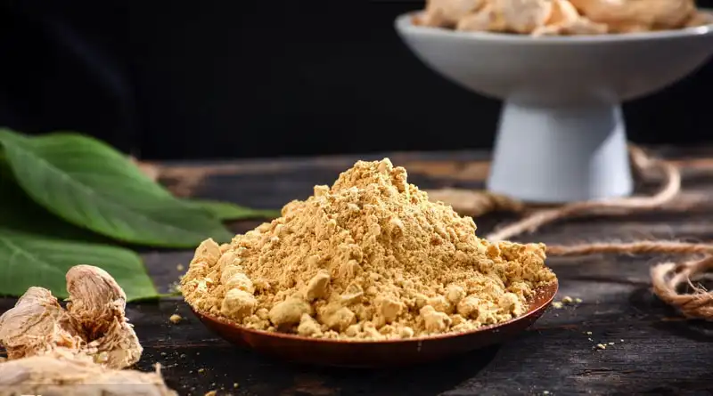 American Ginseng Extract Powder Supports Premium Botanical Ingredient Development