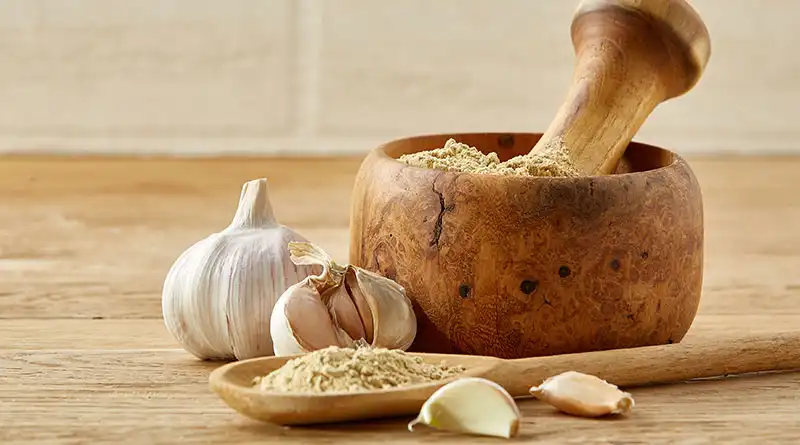 What is the shelf life of garlic extract powder?