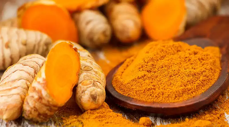 Organic Turmeric Extract Powder Benefits: Nature's Golden Remedy