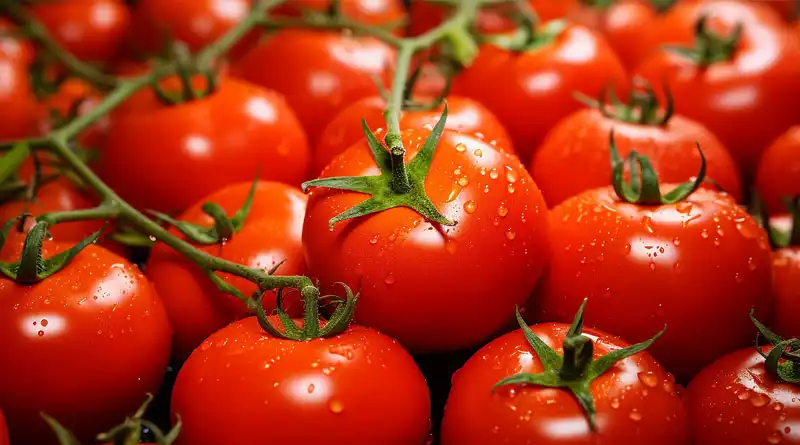 Tomato Extract Powder Benefits: Uses for Cooking & Skin
