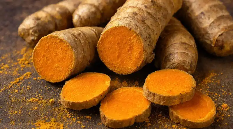 Organic Turmeric Extract Powder Supports Premium Formulations With Standardized Curcumin Content