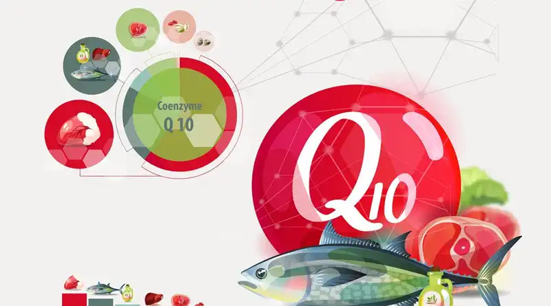 What does Co-Enzyme Q10 Powder do?