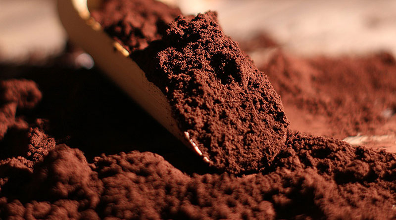 How Organic Chaga Extract Can Benefit Your Health? How Organic Chaga Extract Can Benefit Your Health?