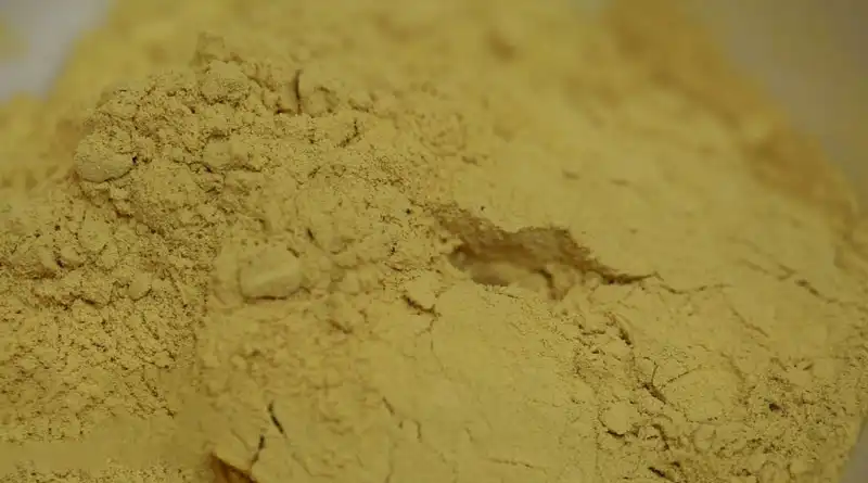 The Benefits of Sophora Japonica Extract Powder