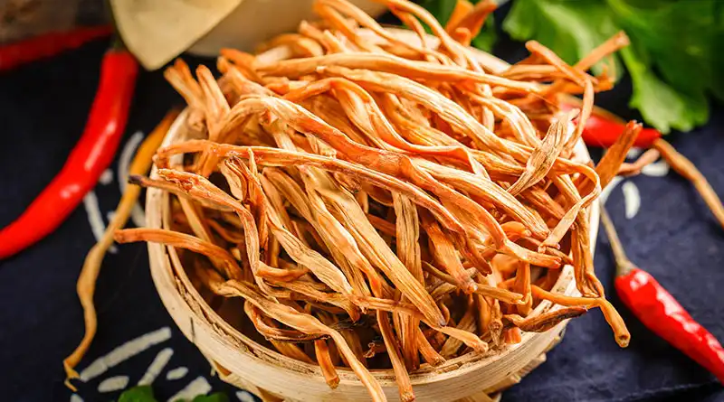 Unlocking the Secrets of Cordyceps Mushroom Extract Powder