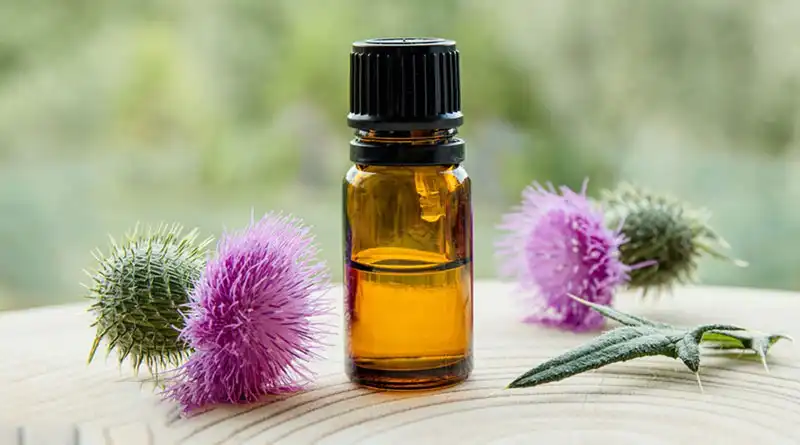 The Science Behind Milk Thistle Extract Powder: What Makes Silymarin a Super Antioxidant