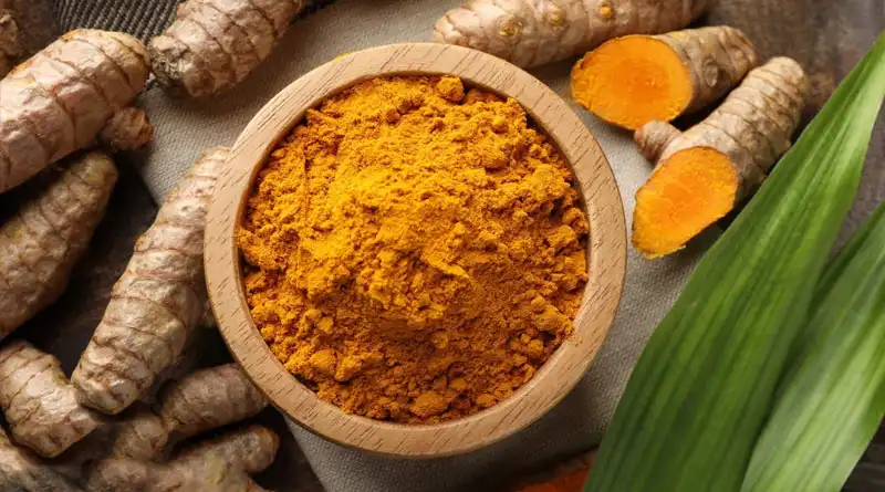 How Can Buyers Evaluate Organic Turmeric Extract Powder Quality?