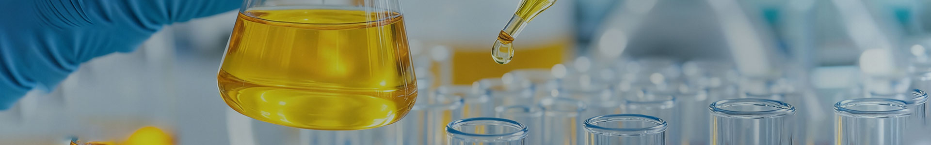 R&D Capabilities